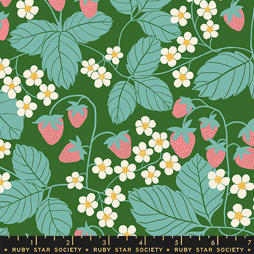 Reimagined Landscapes 10" Layer Cake, Moda RS6049LC