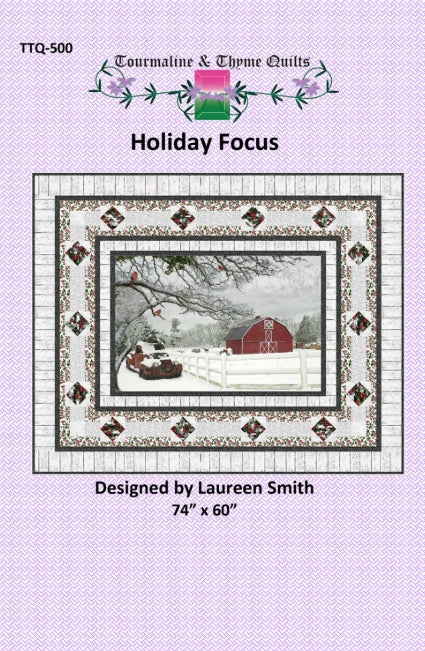 Holiday Focus 28" Panel Frame Quilt Pattern, Tourmaline and Thyme TTQ-500