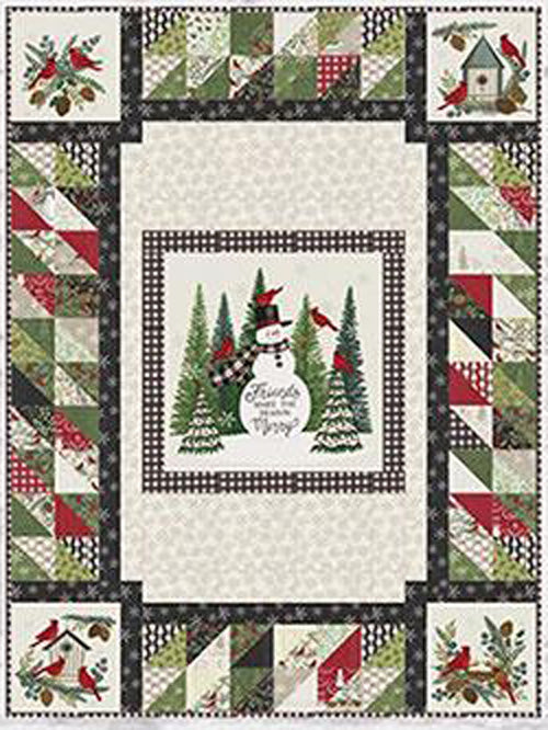 Fast Panel Frame Quilt Pattern, Designs by Lavender Lime DLL248