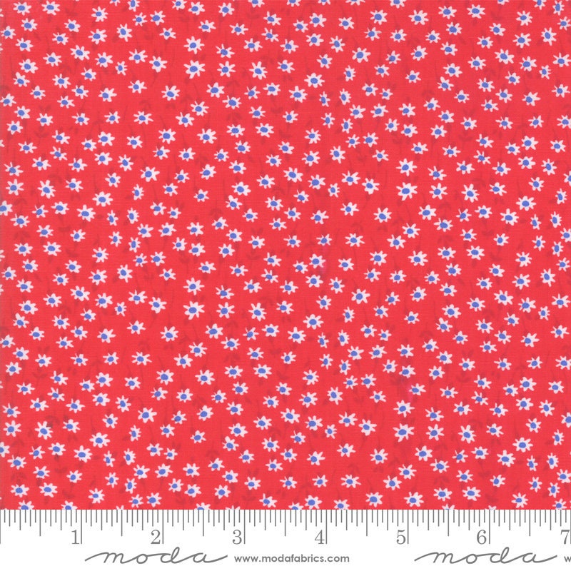 DESTASH Back Porch 10" Layer Cake, Moda 22390LC, 10" Precut Patriotic Floral Layer Cake Fabric Squares, Red White Blue, Me and My Sister