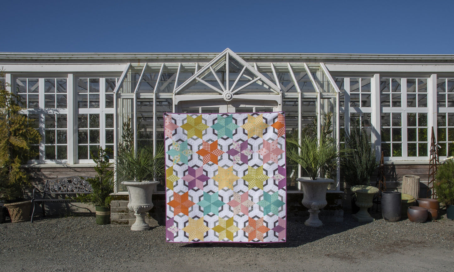 Vintage Windmill Quilt Pattern, The Quilted Life TQL10020, Fat Quarter Friendly Star Pattern, Creative Grids Diamond Mini Ruler CGR60DIAMINI