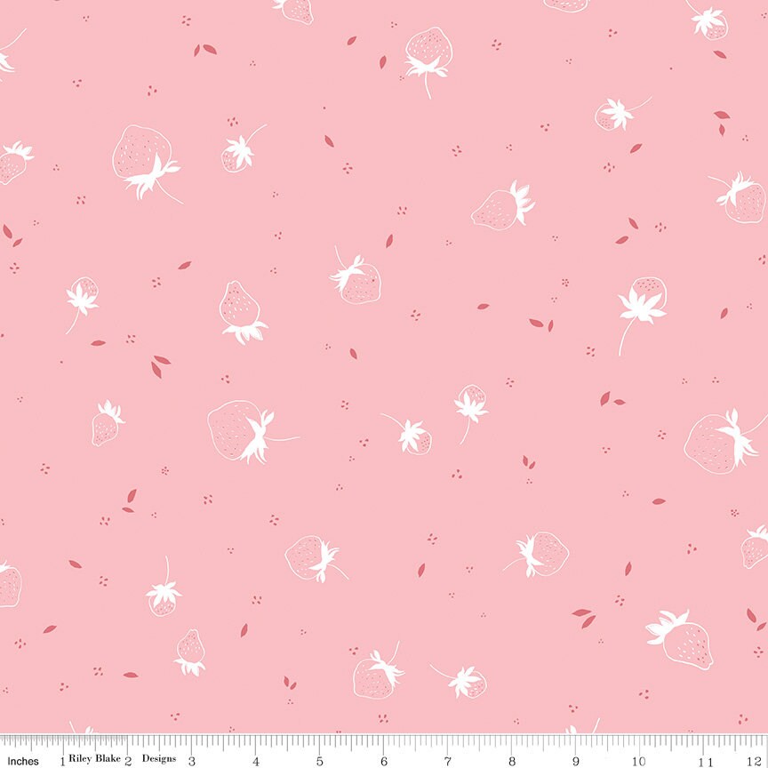 BloomBerry 5" Stacker, Riley Blake 5-14600-42, Precut Floral Quilt Fabric Squares, Minki Kim