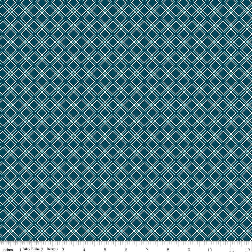 Feed My Soul Rolie Polie, Riley Blake RP-14550-40, 2.5" Precut Green Blue Red Floral Fabric Strips, Sandy Gervais