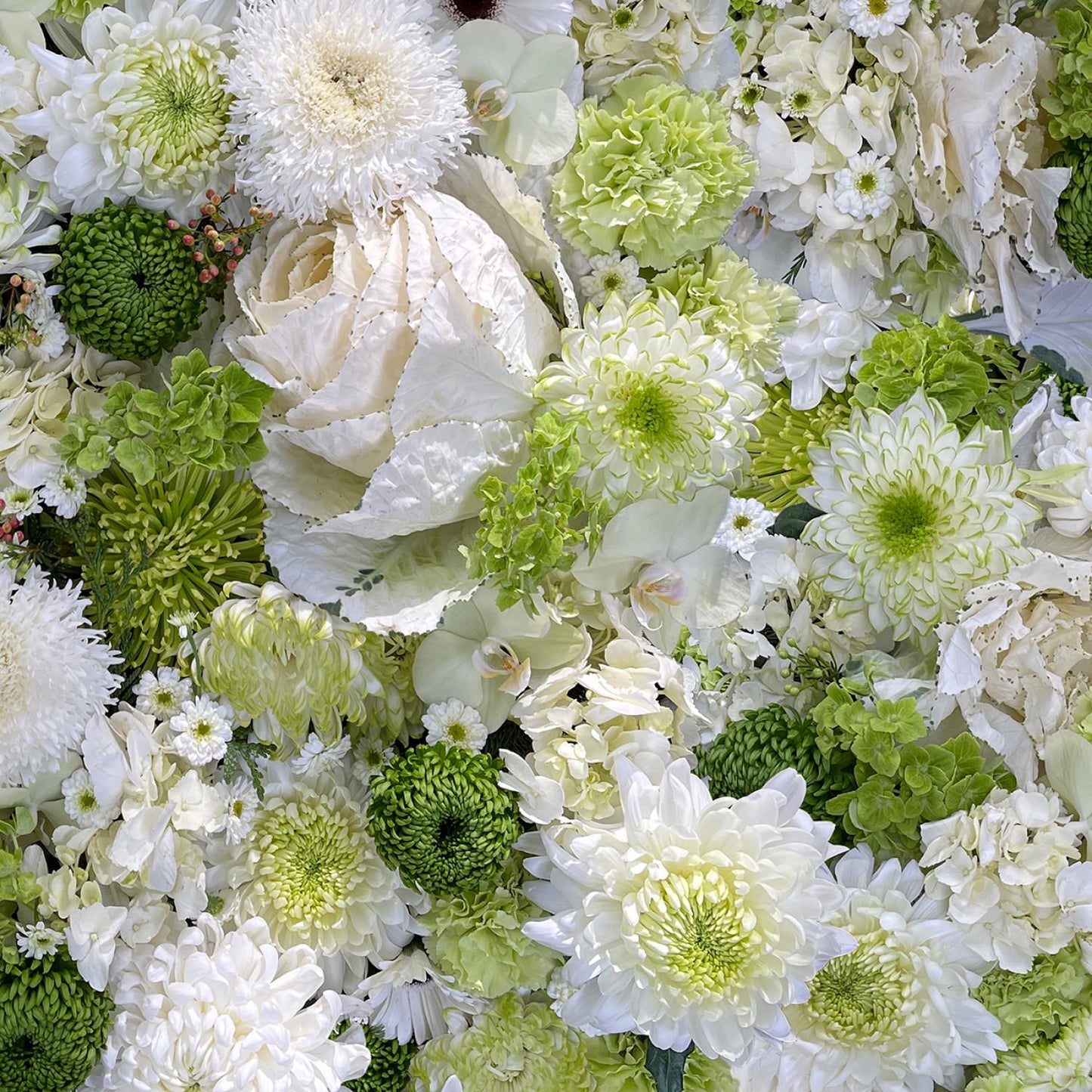 Hand Picked Christmas 5" Charm Pack, Maywood Studio CP-MASHPCH, 5" Precut Realistic Holly Xmas Floral Charm Pack Fabric Squares