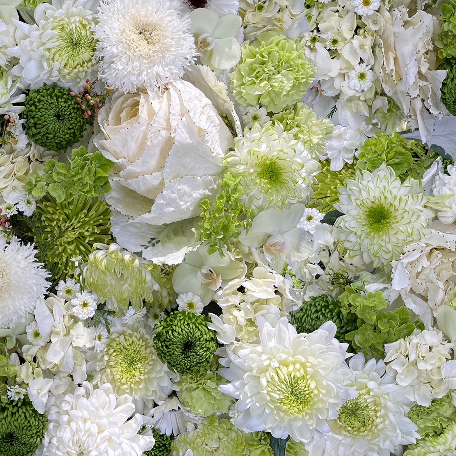 Hand Picked Christmas 5" Charm Pack, Maywood Studio CP-MASHPCH, 5" Precut Realistic Holly Xmas Floral Charm Pack Fabric Squares