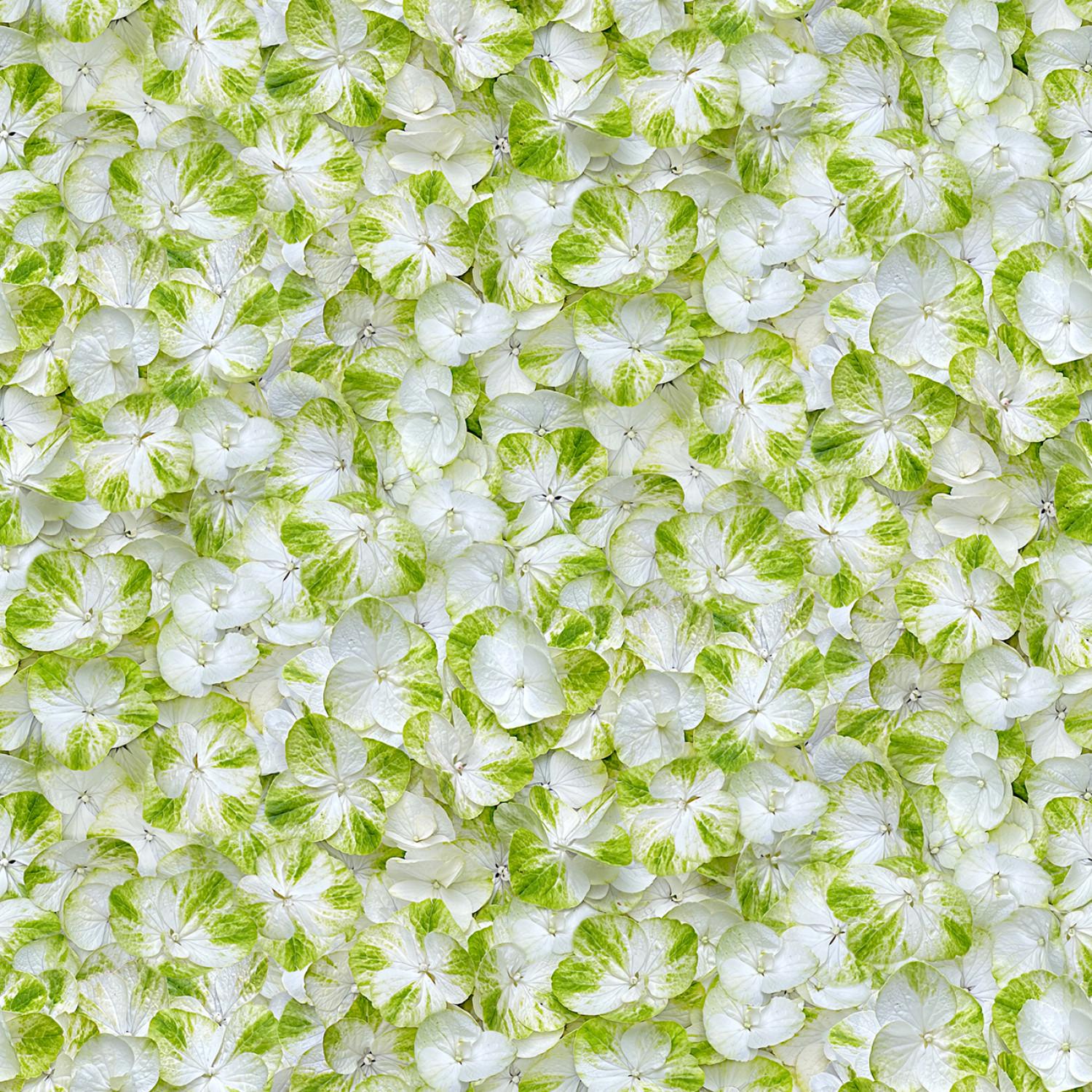 Hand Picked Christmas 5" Charm Pack, Maywood Studio CP-MASHPCH, 5" Precut Realistic Holly Xmas Floral Charm Pack Fabric Squares