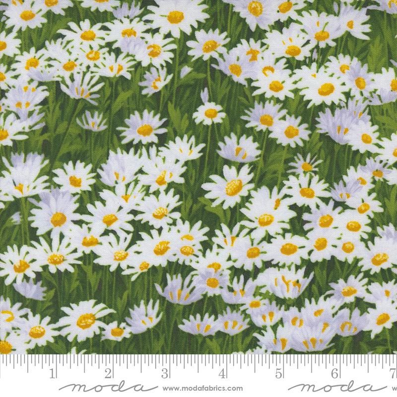 REMNANT 24" of Daisy Daisies Landscape Fabric, Wildflowers 2024, Moda 33773 12, Blue Green Floral Fabric, Wildflowers Yardage