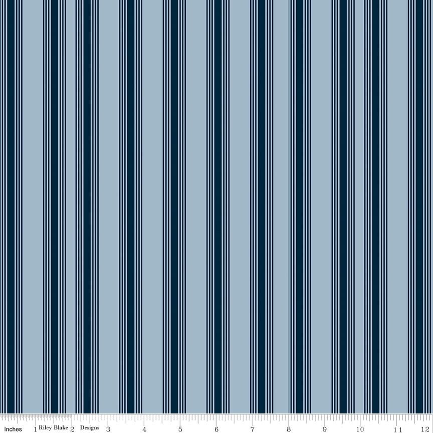 Freedom Garden Rolie Polie, Riley Blake RP-15620-40, Precut 2.5" Patriotic Fabric Strips, QOV FOH Fabric