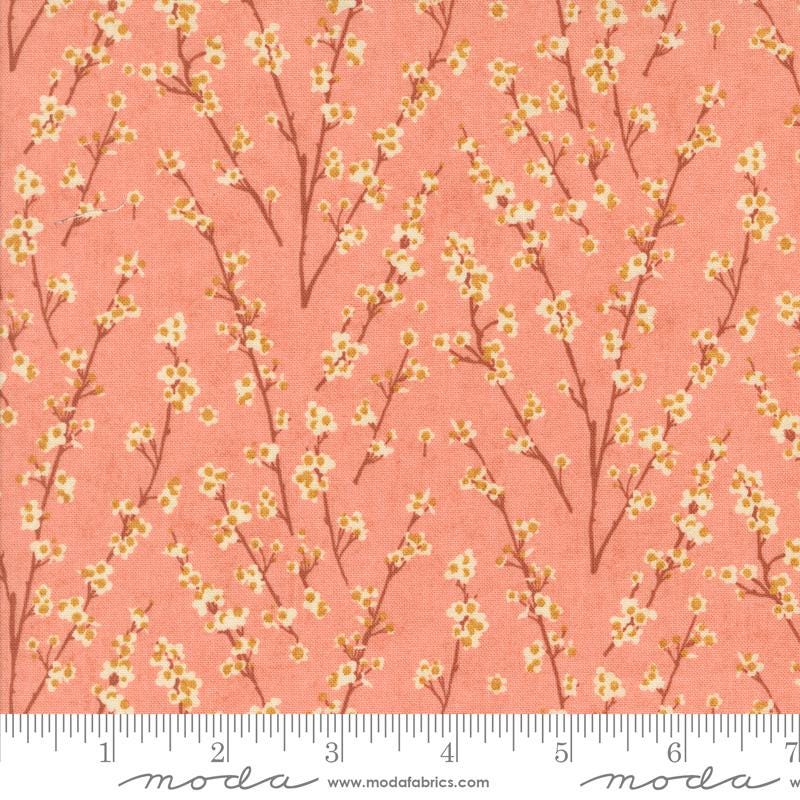 Acorn Hollow 5" Charm Pack, Moda 30760PP, Modern Autumn Fall Floral Charm Pack Fabric, BasicGrey
