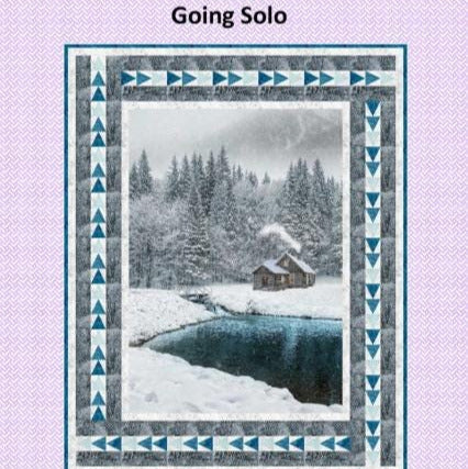 Going Solo 24" Panel Frame Quilt Pattern, Tourmaline and Thyme TTQ-404, Panel Friendly Flying Gees Border Lap Throw Quilt Pattern