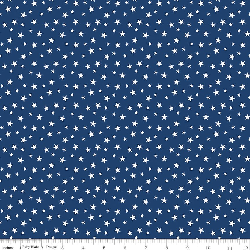 Stars in Stripes Quilt KIT, Riley Blake KTB-20372, Land of Liberty Patriotic Floral Throw Quilt Kit, My Mind's Eye, Hello Melly Design