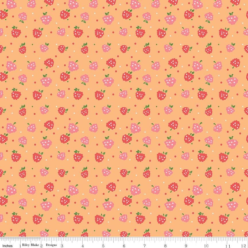 Summer Skies and Fireflies 5" Stacker, Riley Blake 5-16370-42, 5" Precut Pink Green Blue Yellow Floral Charm Fabric Squares, Gracey Larson