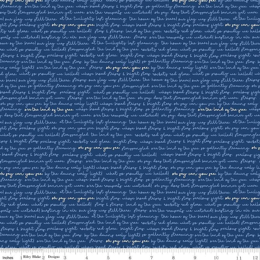 Stars in Stripes Quilt KIT, Riley Blake KTB-20372, Land of Liberty Patriotic Floral Throw Quilt Kit, My Mind's Eye, Hello Melly Design