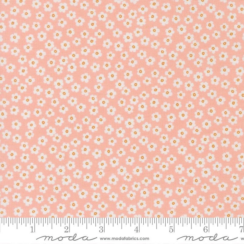 True to Hue 5" Charm Pack, Moda 11560PP, Precut 5" Black Peach Green Blue Floral Charm Pack Fabric Squares, Alli K Designs