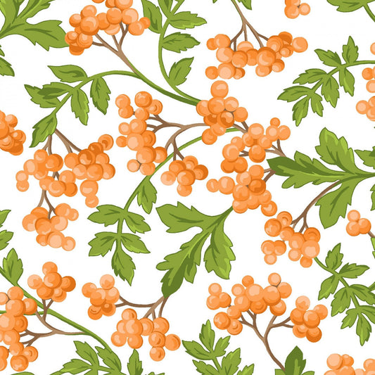 LAST CALL Fresh as a Daisy - Orange Berry Berries on White Fabric, Maywood Studio MAS9643-UW, By the Yard