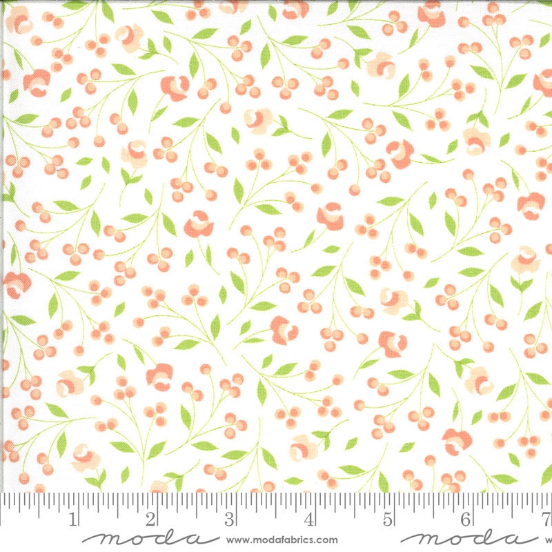 Apricot and Ash - Rosebuds Cloud Coral Peach Flowers on White Fabric, Moda 29103 11 Cloud, Corey Yoder, By the Yard