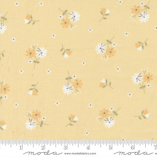 Buttercup and Slate - Daisies on Yellow Fabric, Moda 29153 13, Small Floral Daisy Quilt Fabric, Corey Yoder, By the Yard