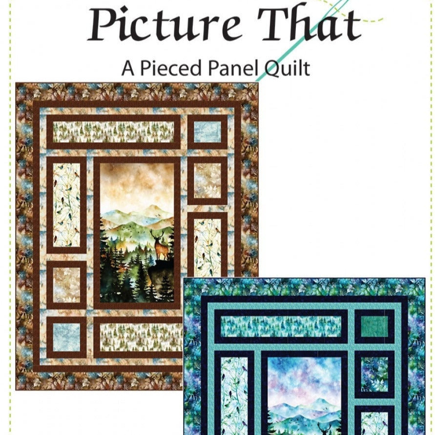Picture That Quilt Pattern, Quilting Renditions QR1180, Fabric Panel Friendly Throw Quilt Pattern, Panel Frame Pattern