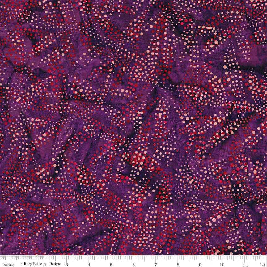 LAST CALL Expressions Batiks A Nod to Mod Rolie Polie, Riley Blake RP-23065-40
