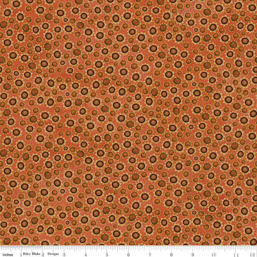 LAST CALL Bittersweet Farm Rolie Polie, Riley Blake RP-14850-40