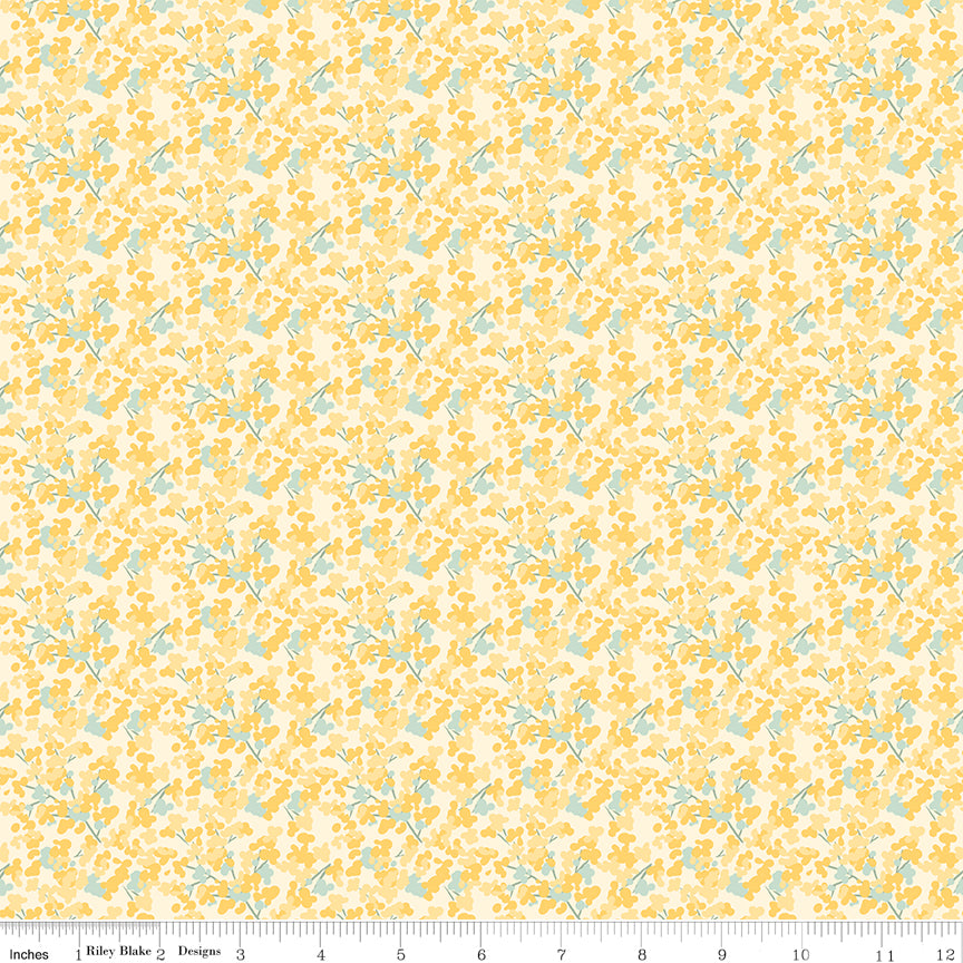 LAST CALL New Beginnings Rolie Polie, Riley Blake RP-15750-40