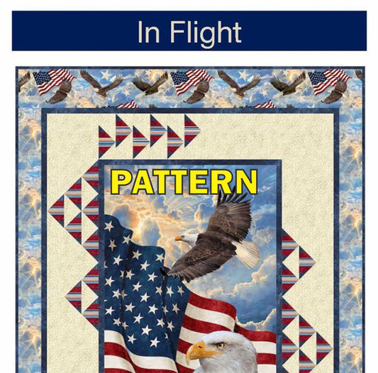 In Flight Panel Frame Quilt PATTERN, Pine Tree Country Quilts PTN2830