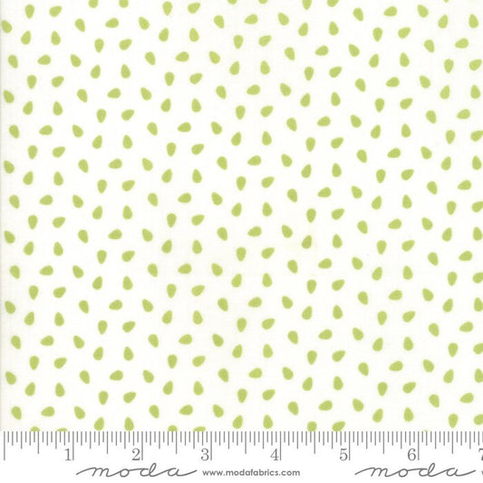 REMNANT 34" of All Weather Friend - Cloud Leaf Green White Polka Dot Fabric, Moda 24065 13, April Rosenthal, By the Yard