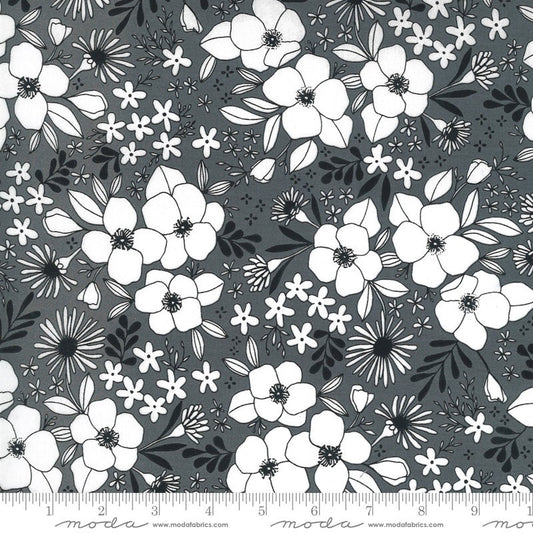 Illustrations Graphite Gray White Black Floral Fabric, Moda 11503 14, Alli K Design, By the Yard