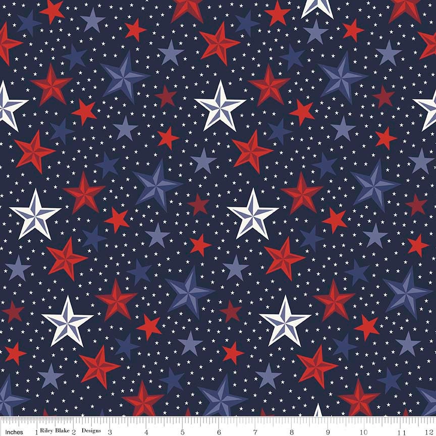 Lost and Found America Rolie Polie OOP, Riley Blake RP-5980-40, 2.5" Precut Patriotic Independence Day Fabric Strips, Quilts of Valor Fabric