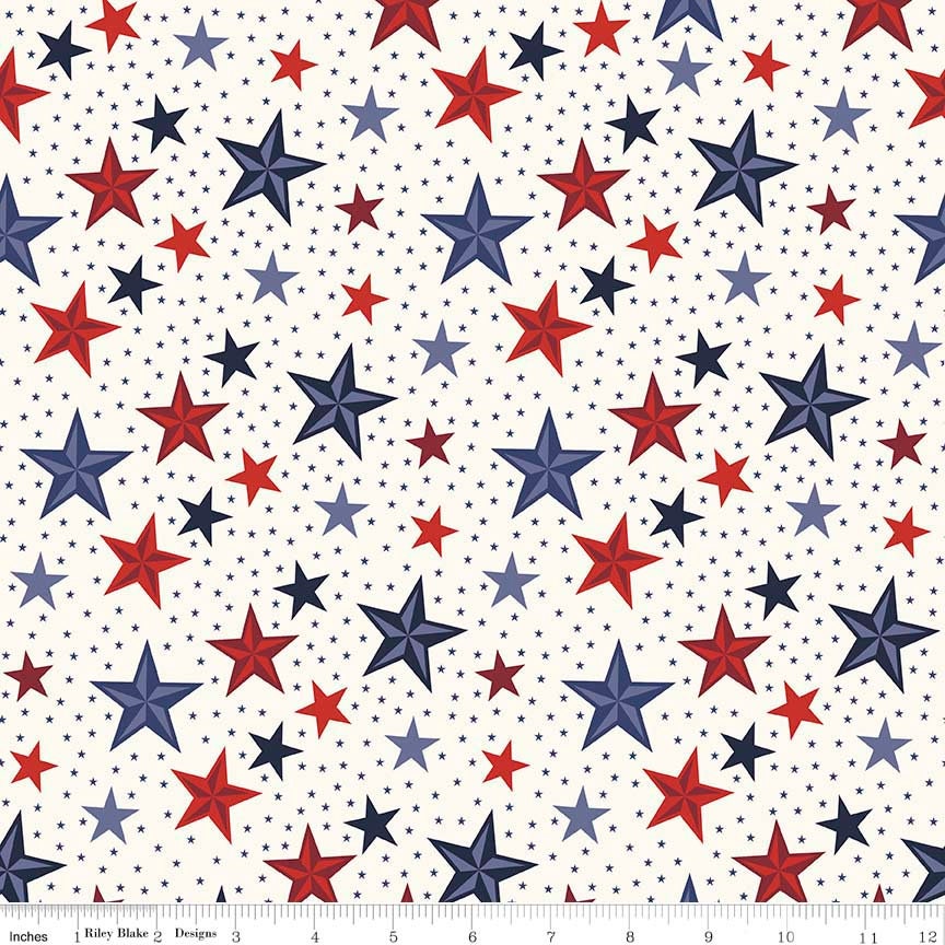 Lost and Found America Rolie Polie OOP, Riley Blake RP-5980-40, 2.5" Precut Patriotic Independence Day Fabric Strips, Quilts of Valor Fabric