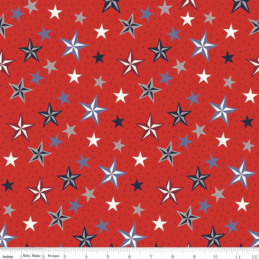 Lost and Found America Rolie Polie OOP, Riley Blake RP-5980-40, 2.5" Precut Patriotic Independence Day Fabric Strips, Quilts of Valor Fabric