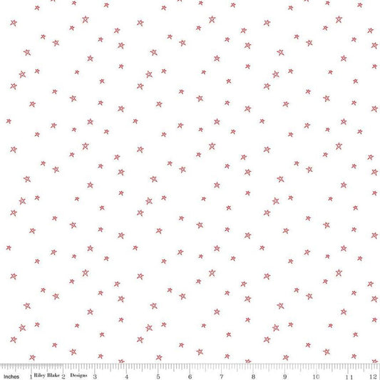 REMNANT 33" of Bee Plaids - Farmhouse Star Cayenne Fabric, Riley Blake C12039 Cayenne, Red Outlined Star Quilt Background Fabric, Lori Holt
