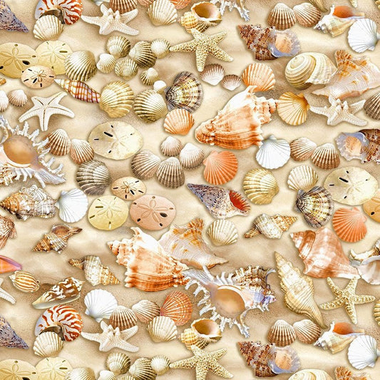 Beach Comber - Packed Seashells Fabric, Timeless Treasures BEACH-CD2534 Multi, Shells on Sand Fabric, By the Yard