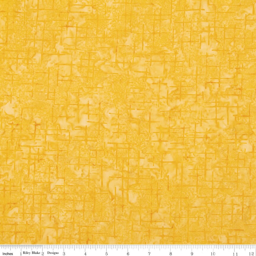 Batiks Expressions Bedazzled! Charm Pack 5" Stacker Bundle - Riley Bla Designs 42 Piece Precut Pre Cut Quilting Cotton Fabric