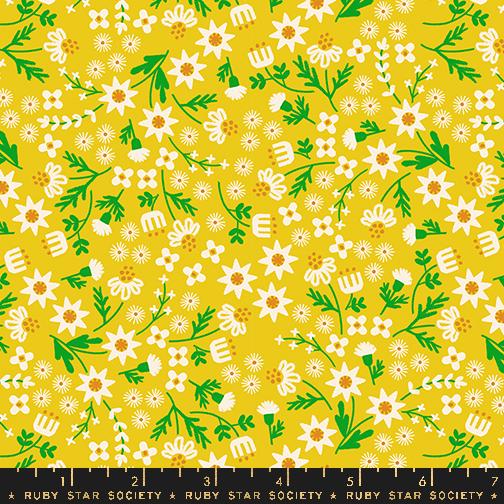 Favorite Flowers Layer Cake, Moda RS5143LC, 10" Precut Modern Floral Fabric Squares, Ruby Star Society