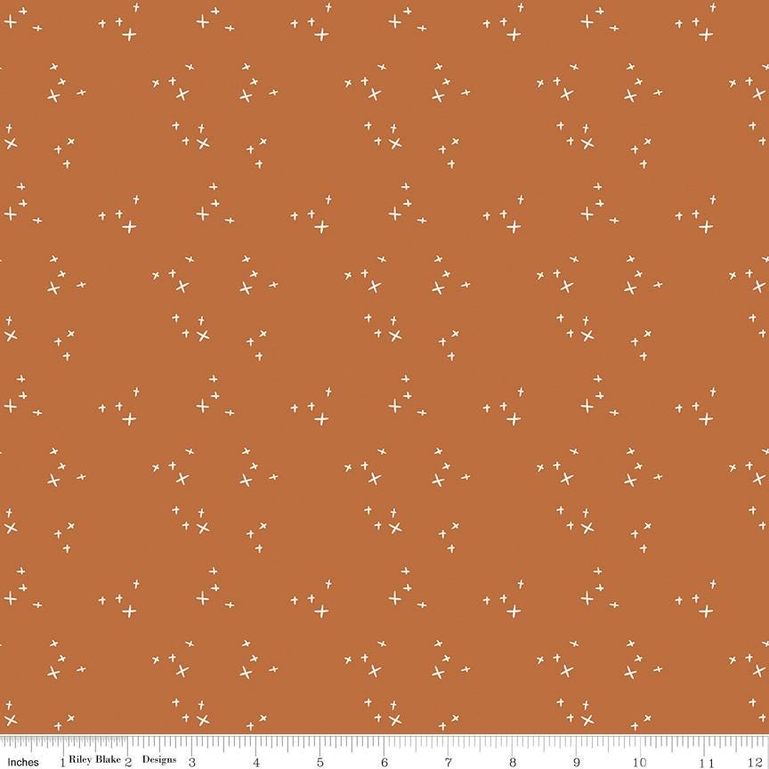 Pumpkin Spice 5" Stacker, Riley Blake 5-14990-42, Fall Autumn Harvest Floral Gingham Fabric Squares, Simple Simon