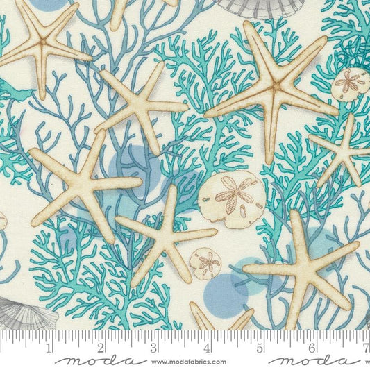 Serena Shores - Starfish Coral Sand Dollars on Cream Fabric, Moda 48771 11 Cloud, Robin Pickens, Beach Ocean Fabric, By the Yard