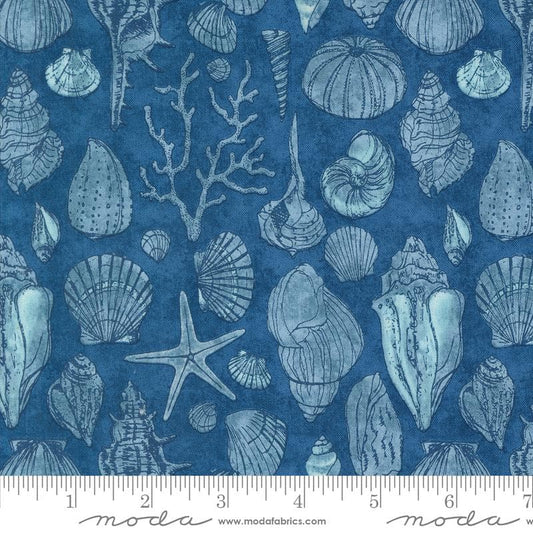 Serena Shores - Teal Seashells on Blue Fabric, Moda 48774 14 Coastal, Robin Pickens, Beach Ocean Starfish Shell Fabric, By the Yard