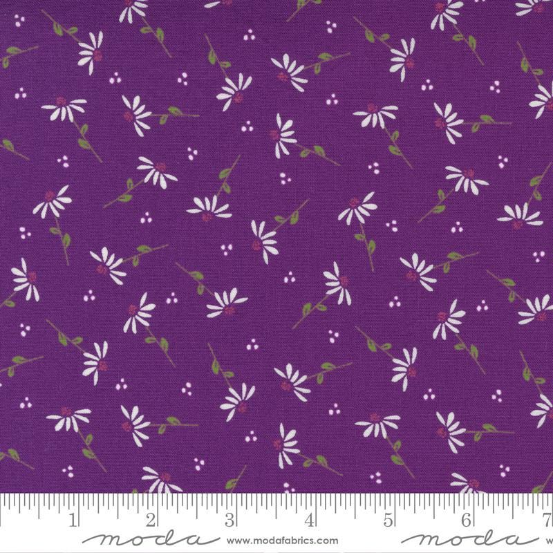Sincerely Yours - Small White Daisies on Purple Fabric, Moda 37612 17 Iris, Purple Floral Fabric, Sherri Chelsi, By the Yard