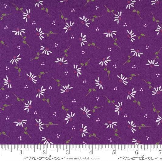 Sincerely Yours - Small White Daisies on Purple Fabric, Moda 37612 17 Iris, Purple Floral Fabric, Sherri Chelsi, By the Yard