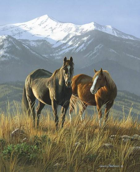Wild Horses - 36" Smoky Valley Quilt Panel Fabric, Riley Blake PD15530-SMOKY, Two Brown Horses Mountains Fabric Panel