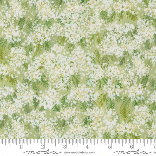 Sweet Cecily - Small White Flowers on Green Fabric, Moda 24642 12 Bud, Green White Floral Blender Quilt Fabric, Janet Clare, By the Yard