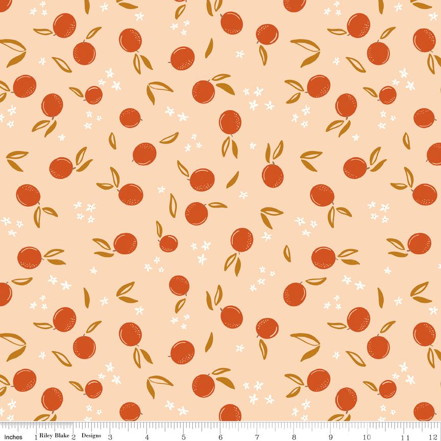 Homage 5" Stacker, Riley Blake 5-17220-42, Precut 5" Pink Green Peach Aqua Blue Floral Fabric Squares, Fran Gulick, Cotton and Joy