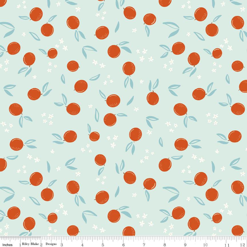 Homage 5" Stacker, Riley Blake 5-17220-42, Precut 5" Pink Green Peach Aqua Blue Floral Fabric Squares, Fran Gulick, Cotton and Joy