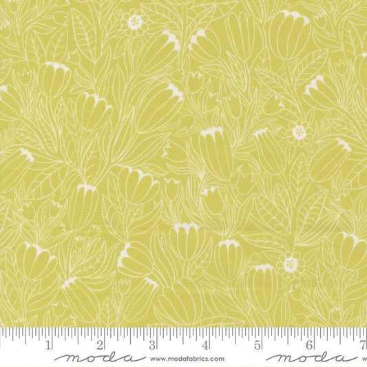 Floral Fondant - Cream Floral Outlines on Green Fabric, Moda 14132 17 Citrine, Green Blender Fabric, Linn Warme, By the Yard