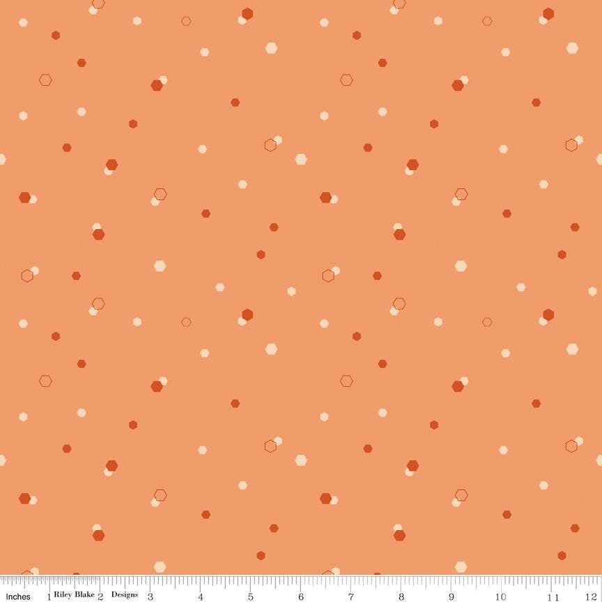 Homage 5" Stacker, Riley Blake 5-17220-42, Precut 5" Pink Green Peach Aqua Blue Floral Fabric Squares, Fran Gulick, Cotton and Joy