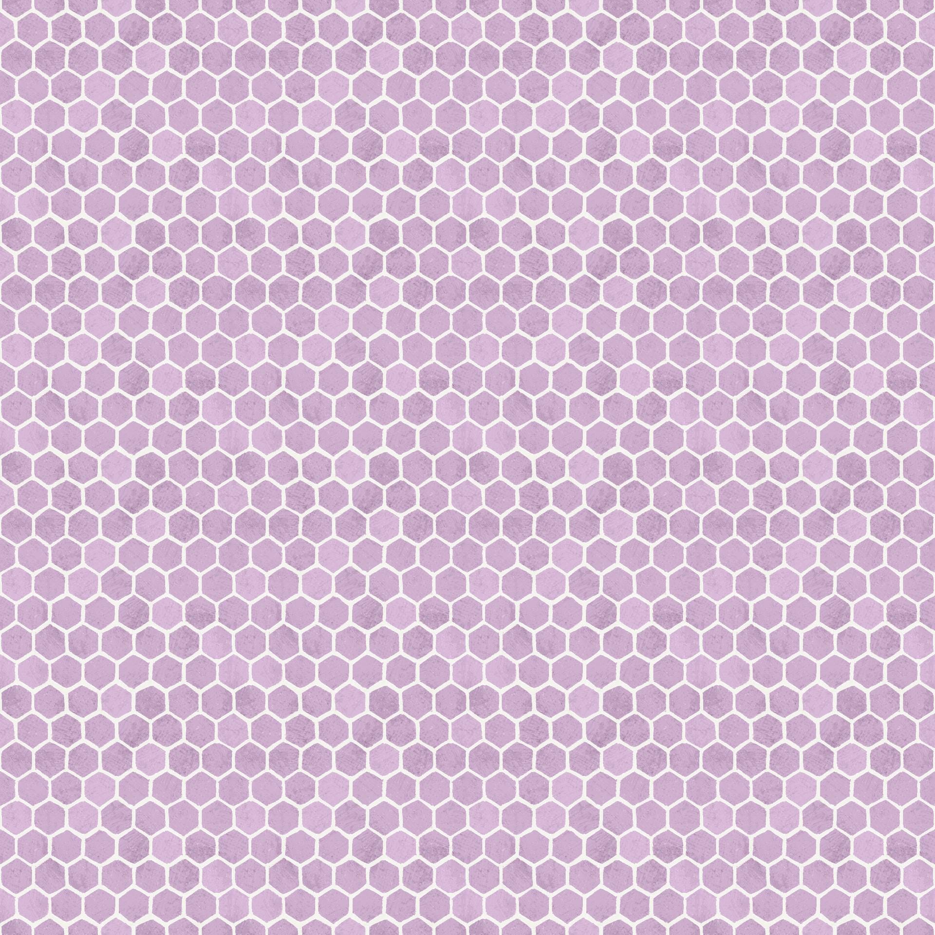 Sweet Honey Bee 5" Charm Squares, White Owl Fabrics SWEEHONEYBEE-05, 5" Precut Beehive Bees Floral Quilt Fabric Squares, Chad Barrett