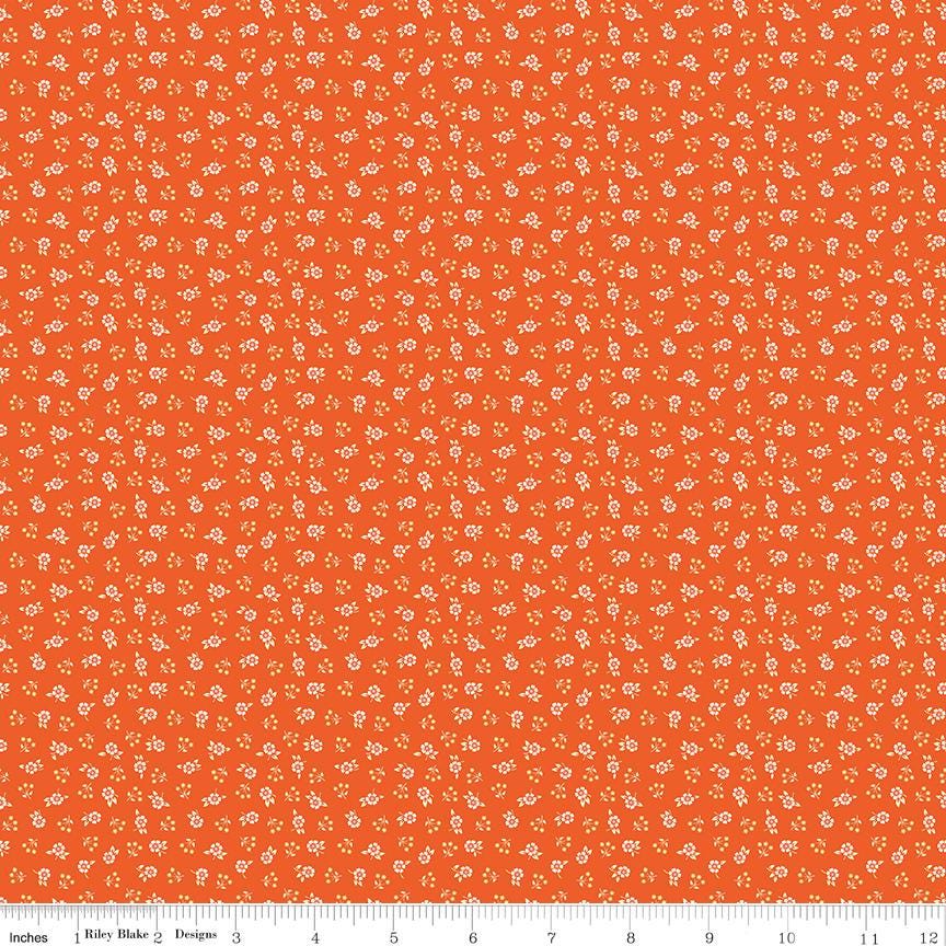 Peach Cobbler 10" Stacker, Riley Blake 10-17420-42, 10" Precut Pink Orange Green Yellow Spring Floral Fabric Squares, Lily Ashbury