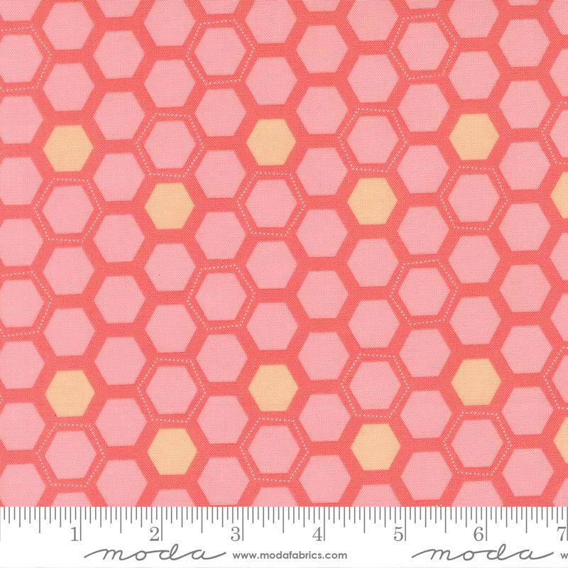 Honeyed Horizon 2.5" Jelly Roll, Moda 47010JR, 2.5" Precut Teal Pink Peach Aqua Green Floral Fabric Strips, Keri Anguiano