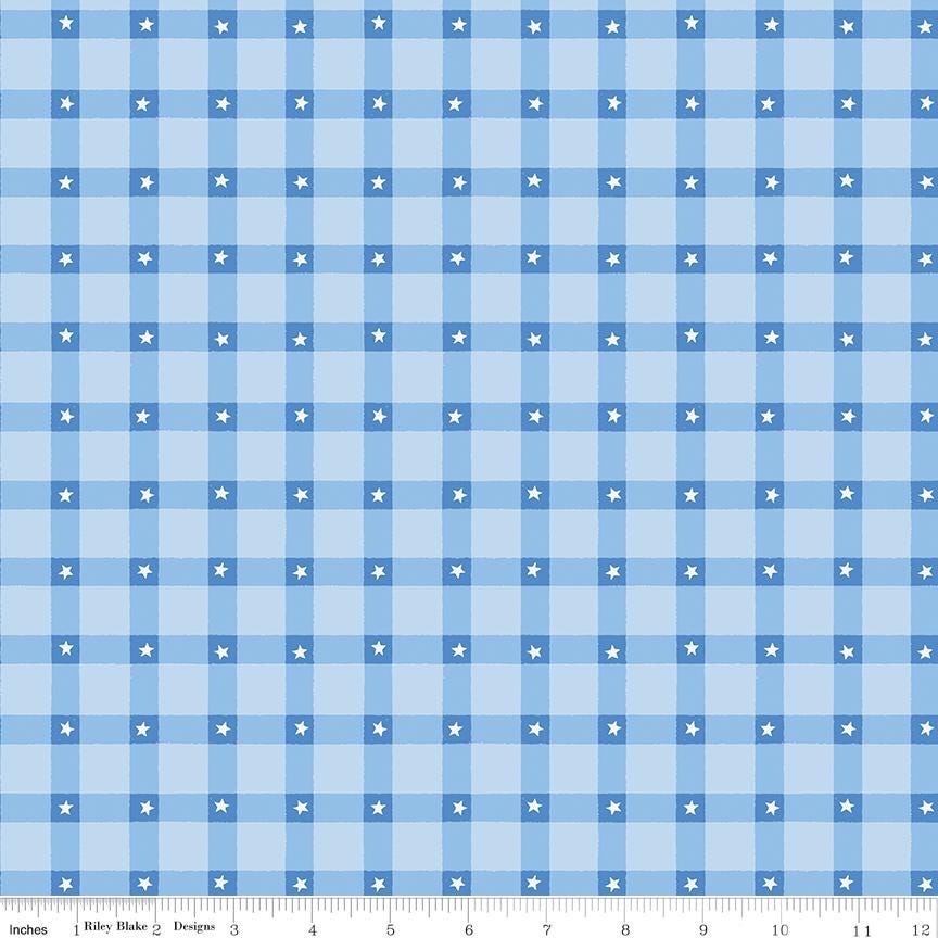 Firecracker 5" Stacker, Riley Blake 5-17200-42, 5" Precut Red White Blue Patriotic Floral Quilt Fabric Squares, My Mind's Eye